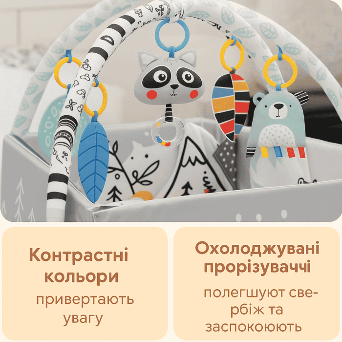 Великий розвивальний килимок Ricokids 4в1 