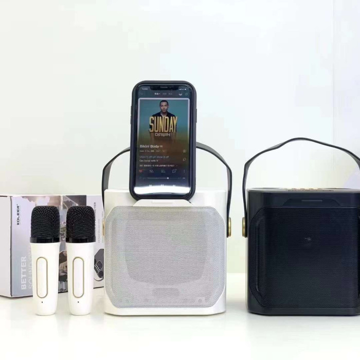 Портативна Bluetooth колонка KOLEER S882 з 2 бездротовими мікрофонами для караоке