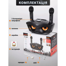 Бездротова портативна колонка караоке з двома мікрофонами SD-306