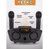 Бездротова портативна колонка караоке з двома мікрофонами SD-306