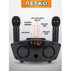 Бездротова портативна колонка караоке з двома мікрофонами SD-306
