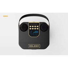 Портативна Bluetooth колонка KOLEER S882 з 2 бездротовими мікрофонами для караоке