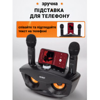 Бездротова портативна колонка караоке з двома мікрофонами SD-306