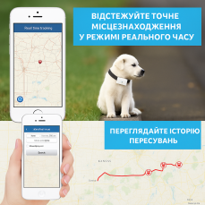 Ошийник з GPS-трекером для собак і котів TK911 — GPS ошийник для тварин з відстеженням у реальному часі
