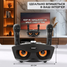 Бездротова караоке-система з двома мікрофонами SD-306 «Сова», чорна
