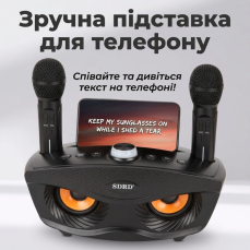 Бездротова караоке-система з двома мікрофонами SD-306 «Сова», чорна