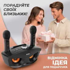 Бездротова караоке-система з двома мікрофонами SD-306 «Сова», чорна