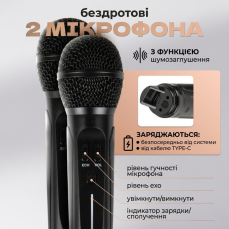 Бездротова караоке-система з двома мікрофонами SD-306 «Сова», чорна